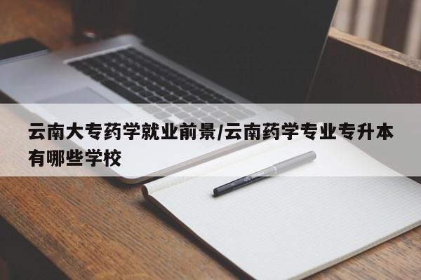 云南大专药学就业前景/云南药学专业专升本有哪些学校