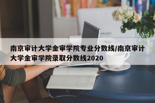 南京审计大学金审学院专业分数线/南京审计大学金审学院录取分数线2020